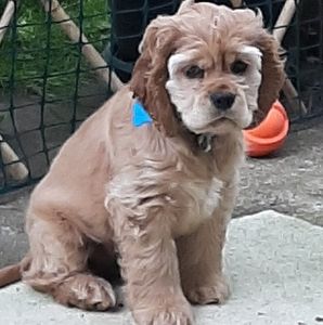 Meet your Posher, Sherry